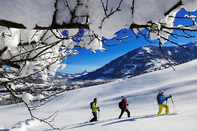 Zu Hause In Tirol Holiday home *