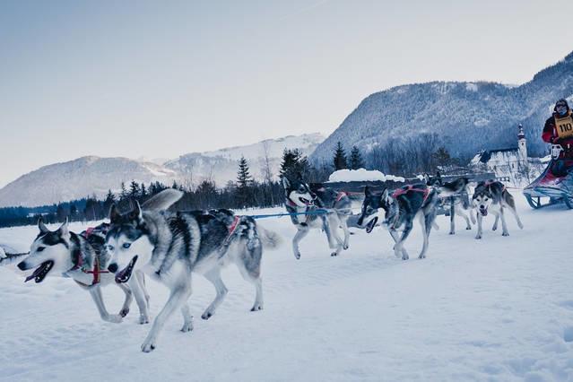 Hébergement de vacances Zu Hause In Tirol *